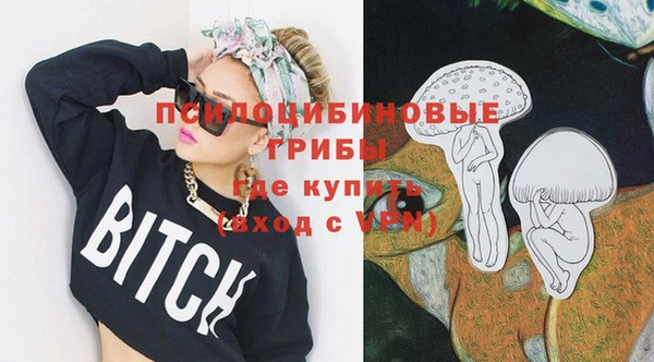 мет Богородицк
