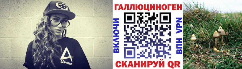 Псилоцибиновые грибы Magic Shrooms  дарк нет состав  Комсомольск 